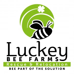 Luckey Bee Farms