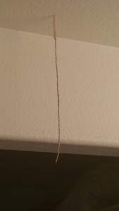 Termite tube hanging from ceiling 