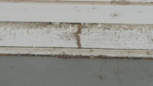Termite tube in garage Fig. 4